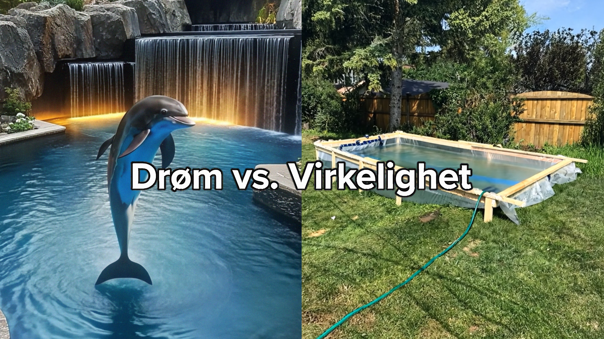 Drøm vs. Virkelighet